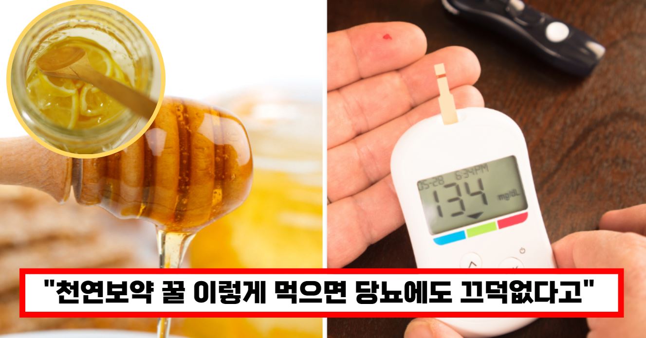 당뇨에도 도움되는 천연보약 꿀 섭취방법