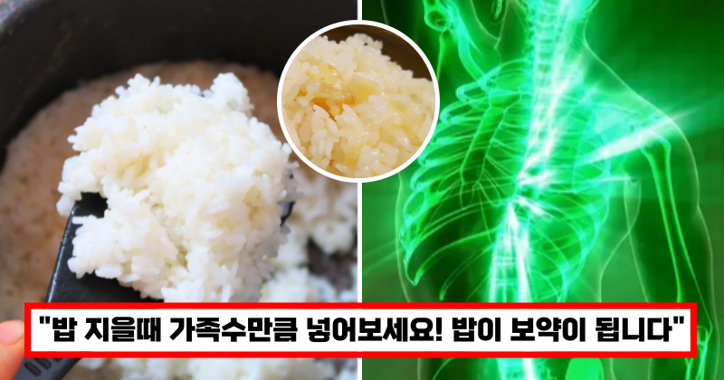 밥이 보약이 되는 마늘밥효능