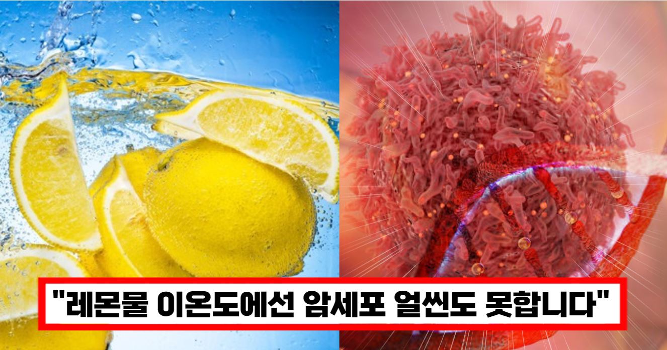 암세포잡는 레몬물 항암효과