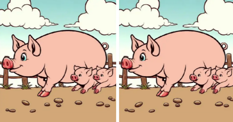 돼지가족 틀린그림 3곳
