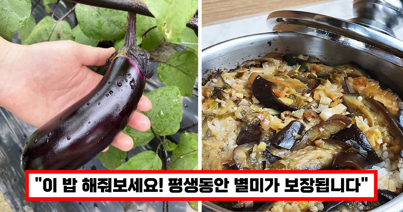 eggplant bab